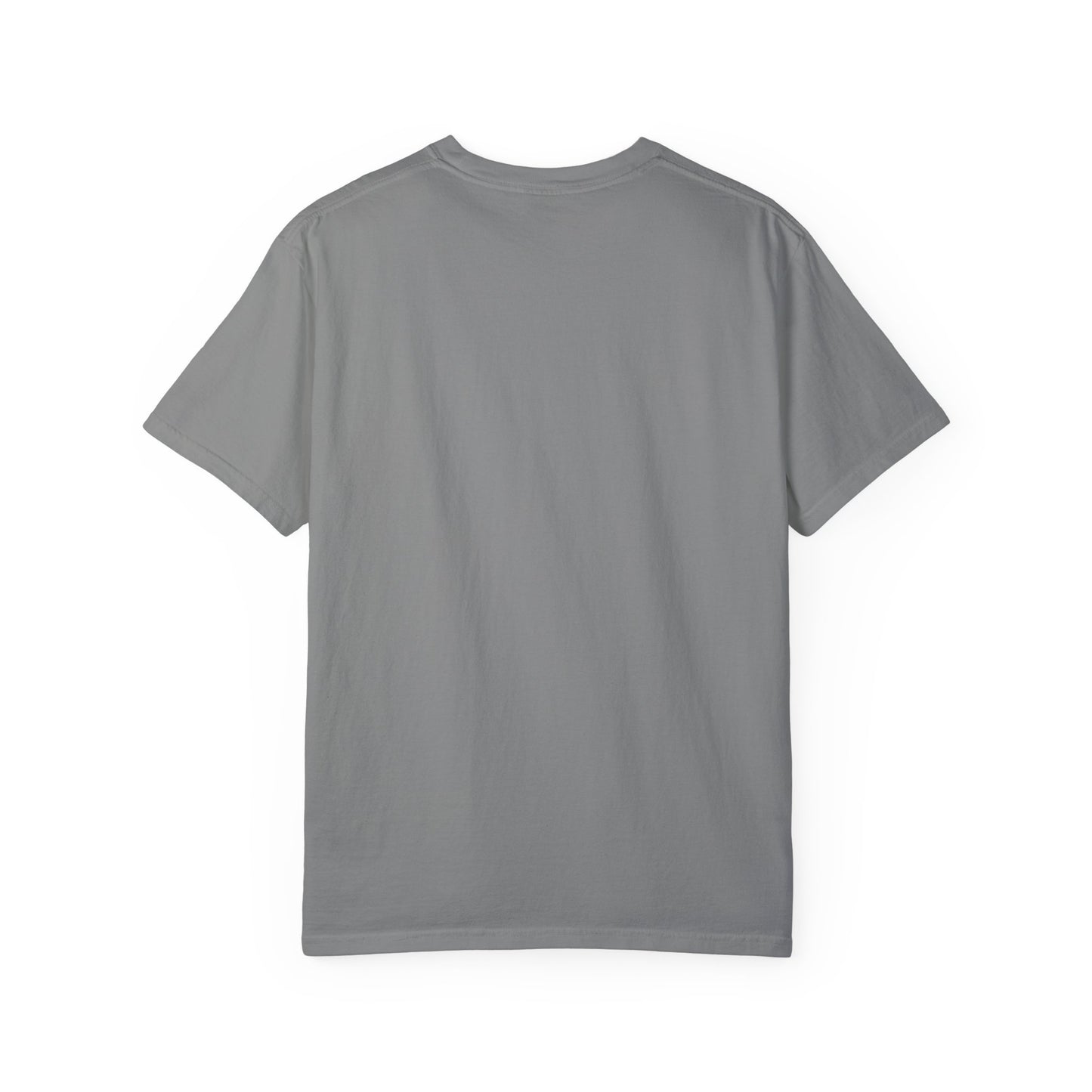 Unisex Garment-Dyed T-Shirt - Ya llegaron las pipshas!